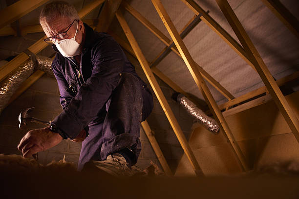 Best Cellulose Insulation in Schriever, LA